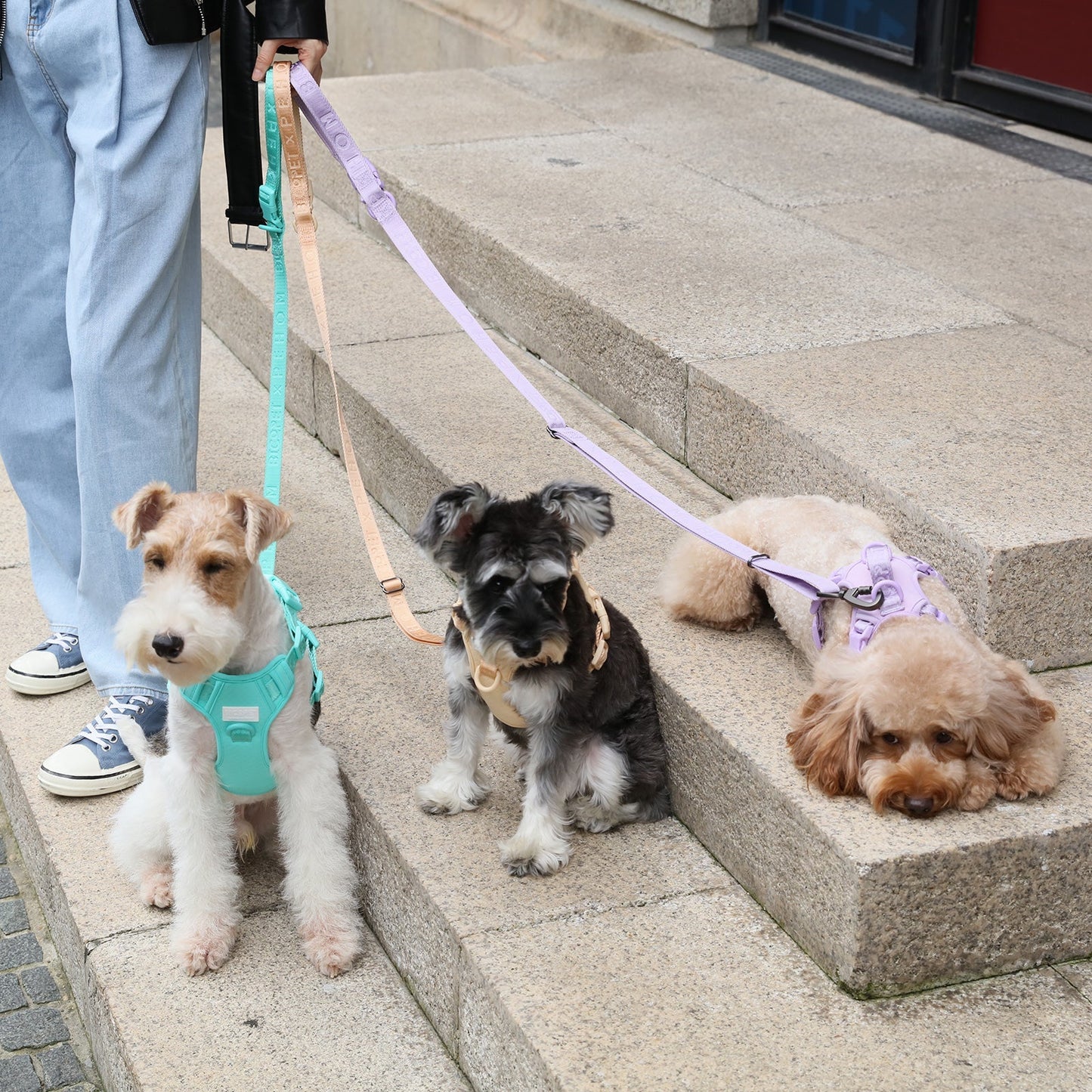 PADDED  ACTIVE  PET LEASH  - MINT GREEN
