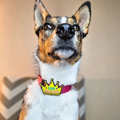 Fur Majesty Dog Jiby