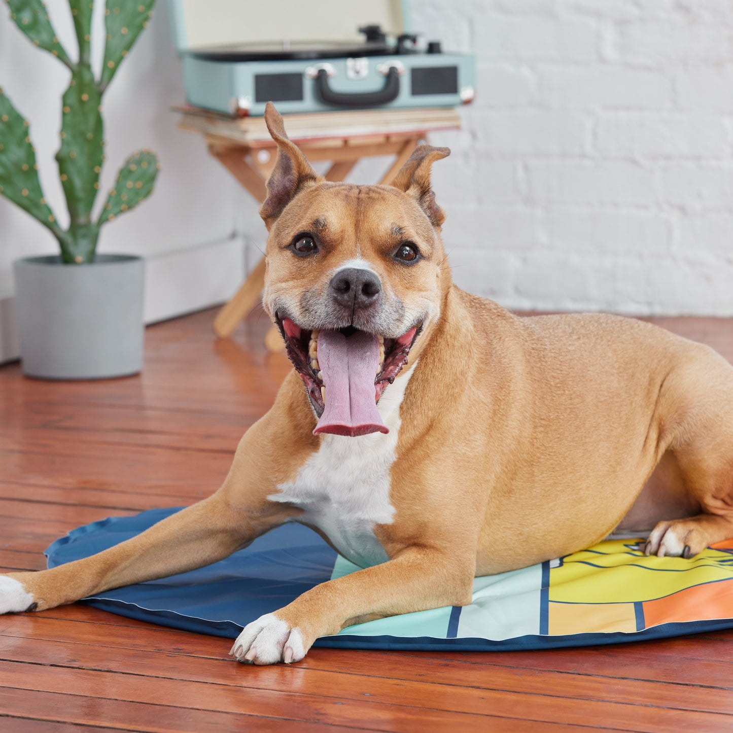 GF Pet Ice Mat