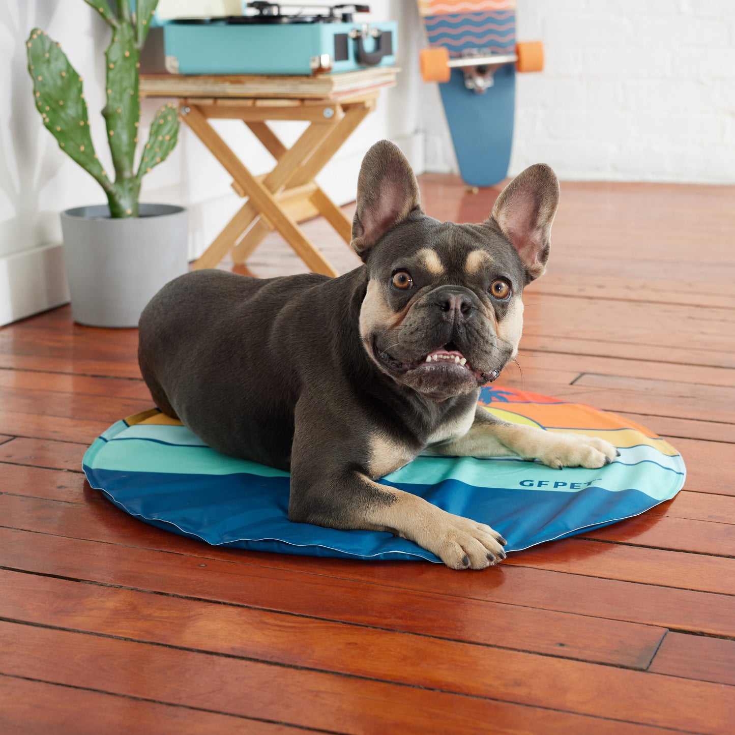 GF Pet Ice Mat