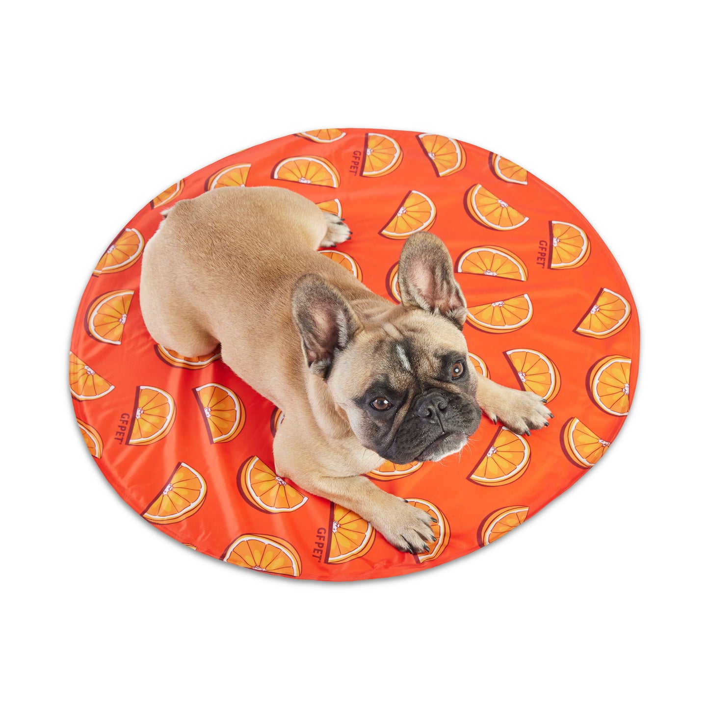 GF Pet Ice Mat