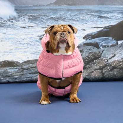 Storm Glide Parka
