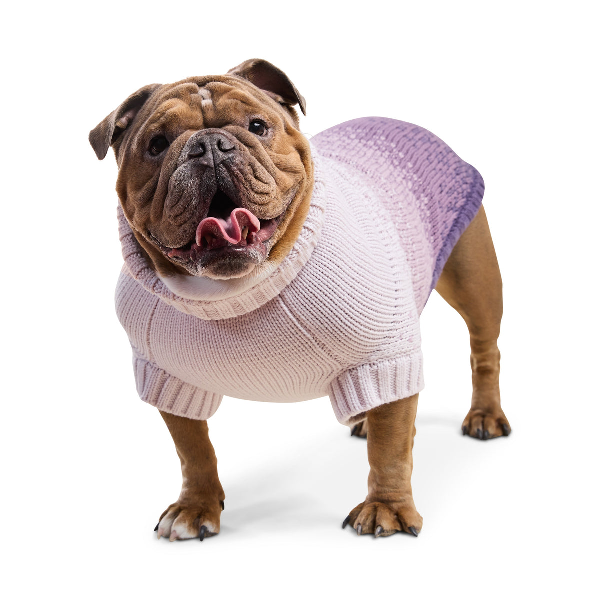 Fisherman Sweater
