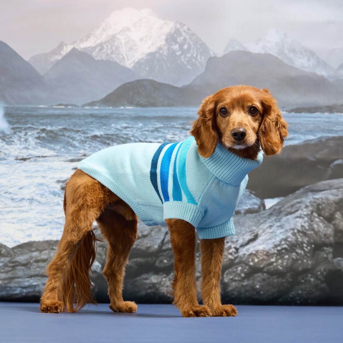 Coastline Knit Sweater