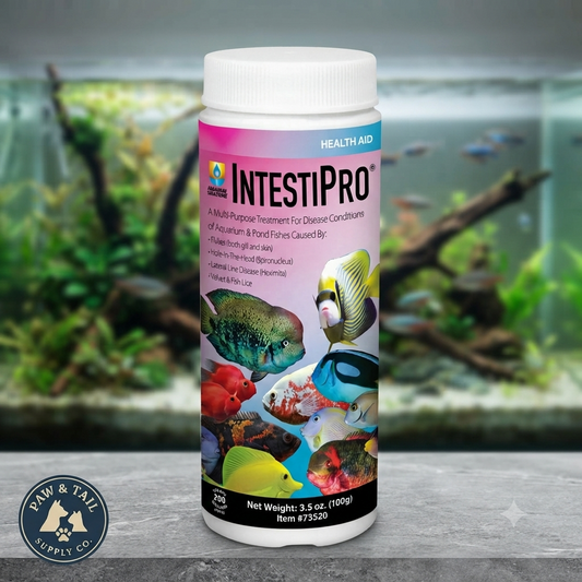 Hikari IntestiPro for Aquarium 3.5oz.