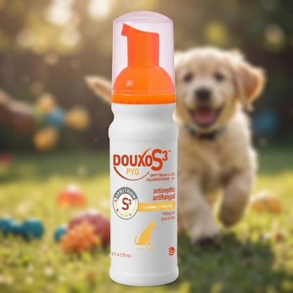 Douxo S3 PYO Mousse 5.1 oz Dogs & Cats Antibacterial Antifungal Skin Care
