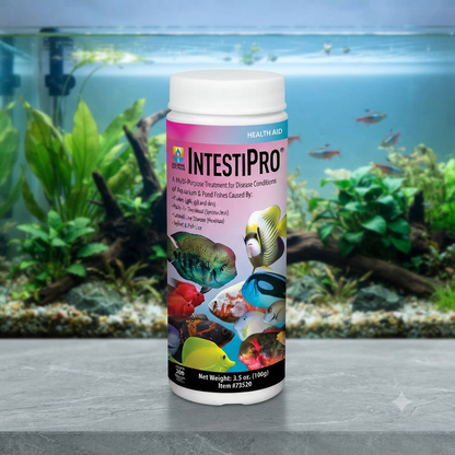 Hikari IntestiPro for Aquarium 3.5oz.