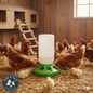 Little Giant Poultry Chicken 1 QT Plastic Feeder Set / Water Set/ Replacement
