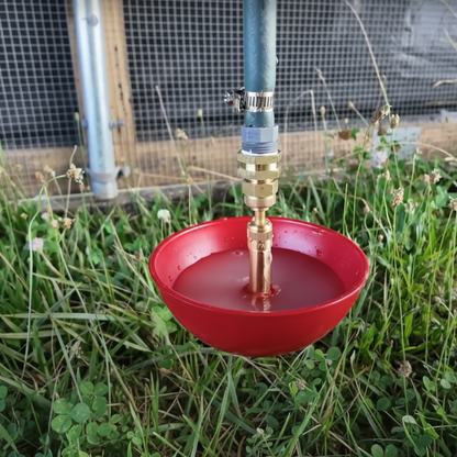 Little Giant King Size Automatic Poultry Water Fount Turkey 2550 1.5 Qt