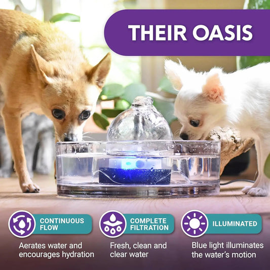 Glass Pet Water Fountain – Modern Hydration for Cats & Small Dogs