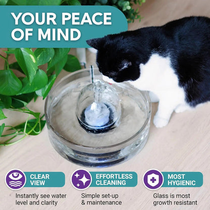 Glass Pet Water Fountain – Modern Hydration for Cats & Small Dogs