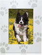 Green Pollywog Pet Memorial Shadowbox | Collar, Tag & Photo Keepsake