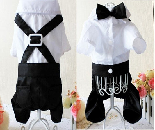 Handsome Stylish Pet Suit with Bow Tie