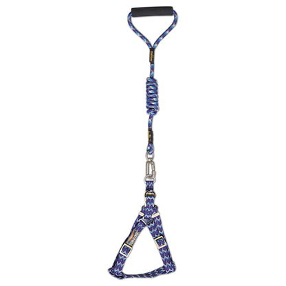 Dog Helios Surfside Designer Leash and Harness