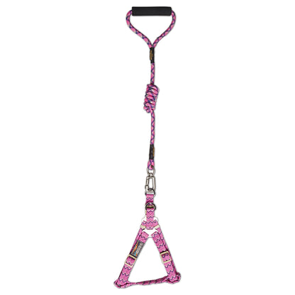 Dog Helios 'Surfside' Adjustable Dog Harness and Leash
