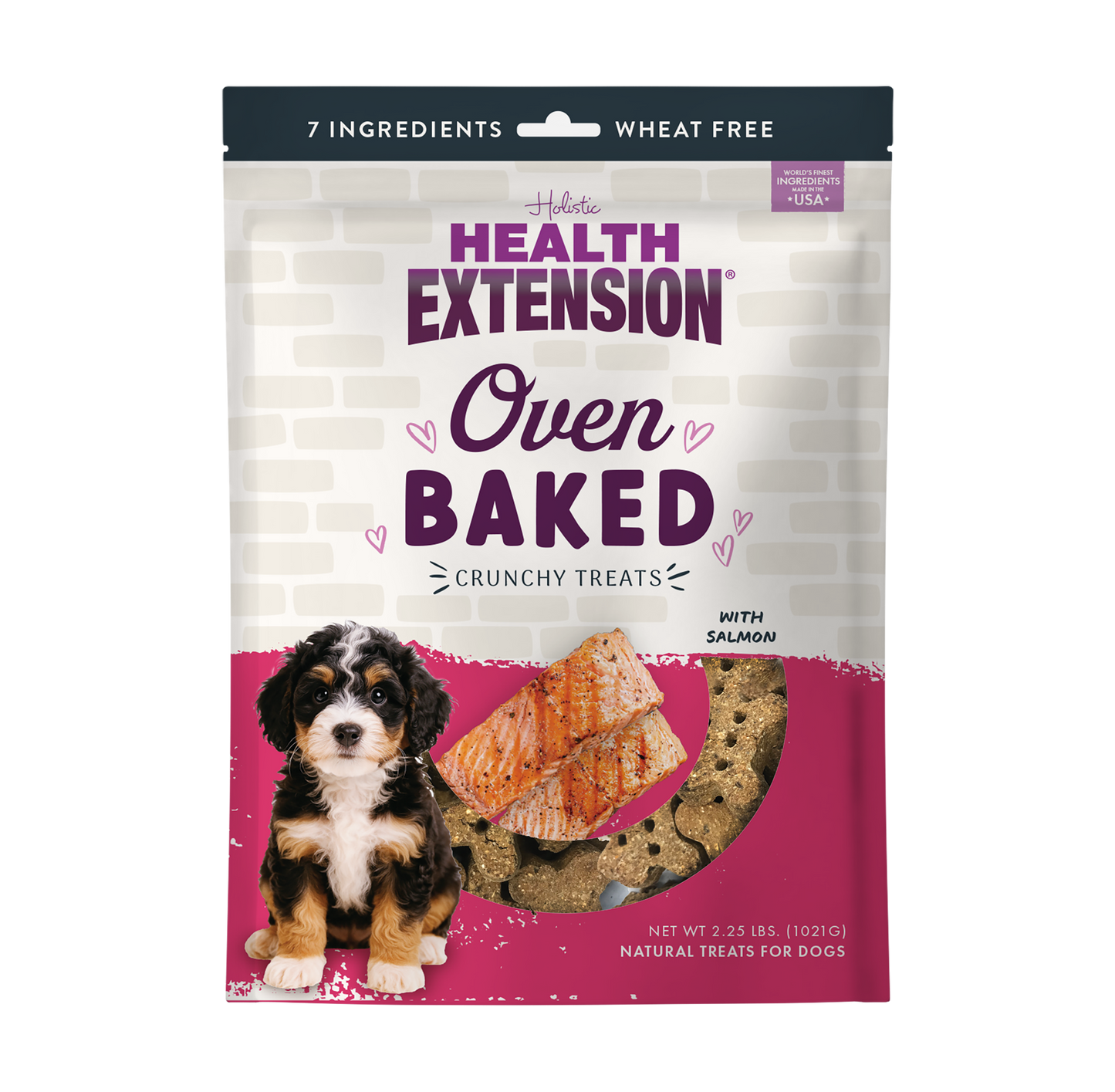 Oven Baked Salmon Treats