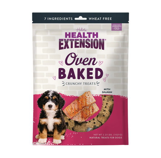 Oven Baked Salmon Treats