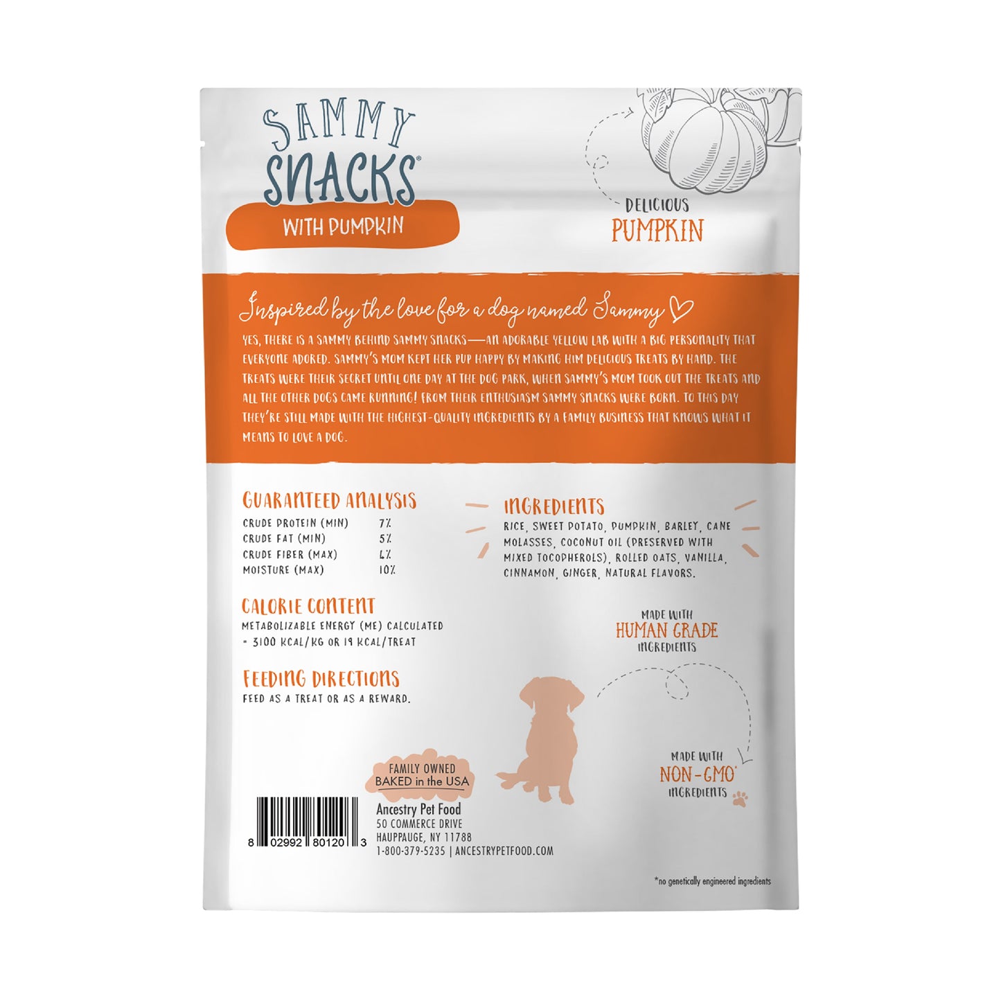 Sammy Snacks With Pumpkin