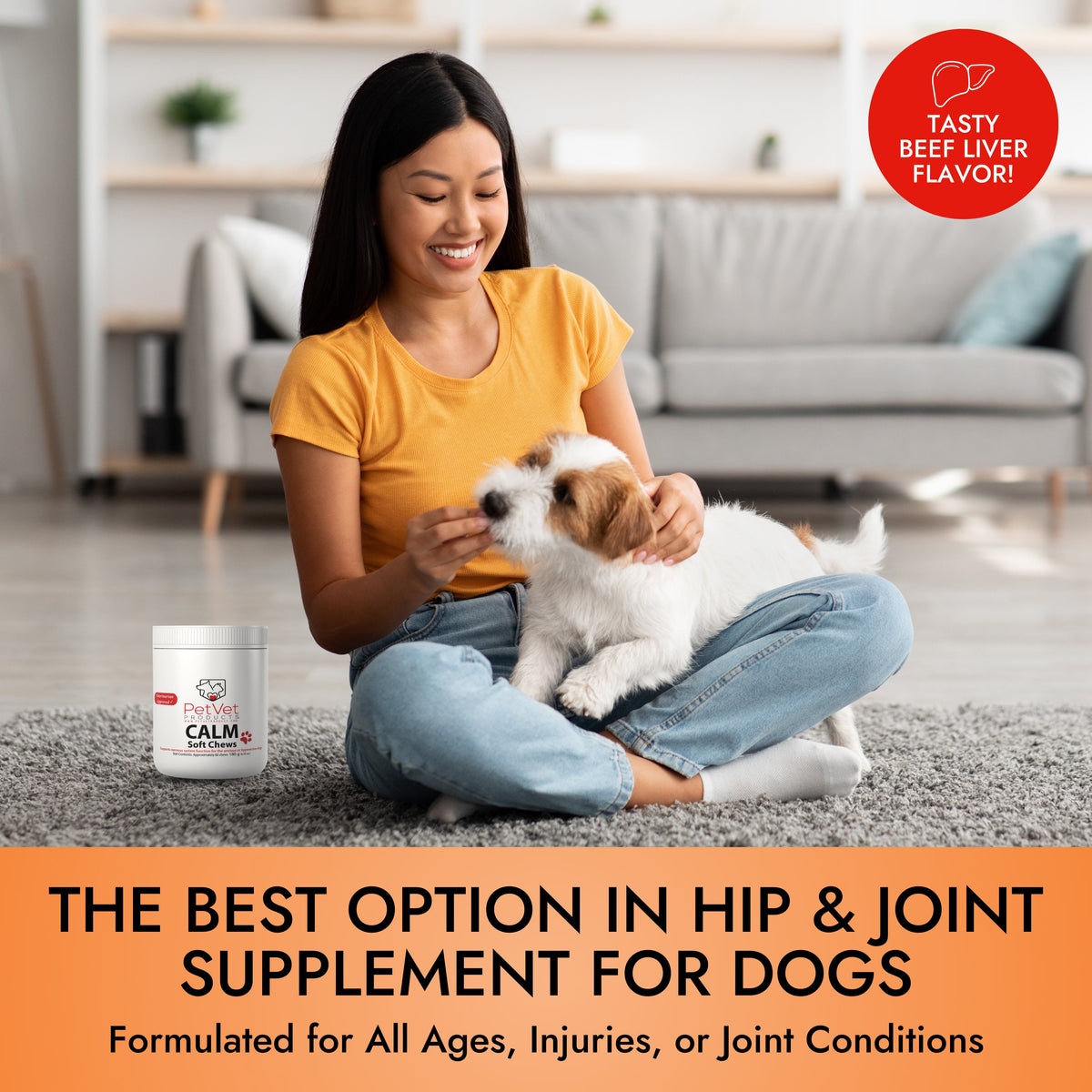 Pet Vet Products® Glucosamine Hip & Joint Supplement for Dogs – Beef Liver Flavor, 60 Soft Chews with MSM & Chondroitin for Mobility Support