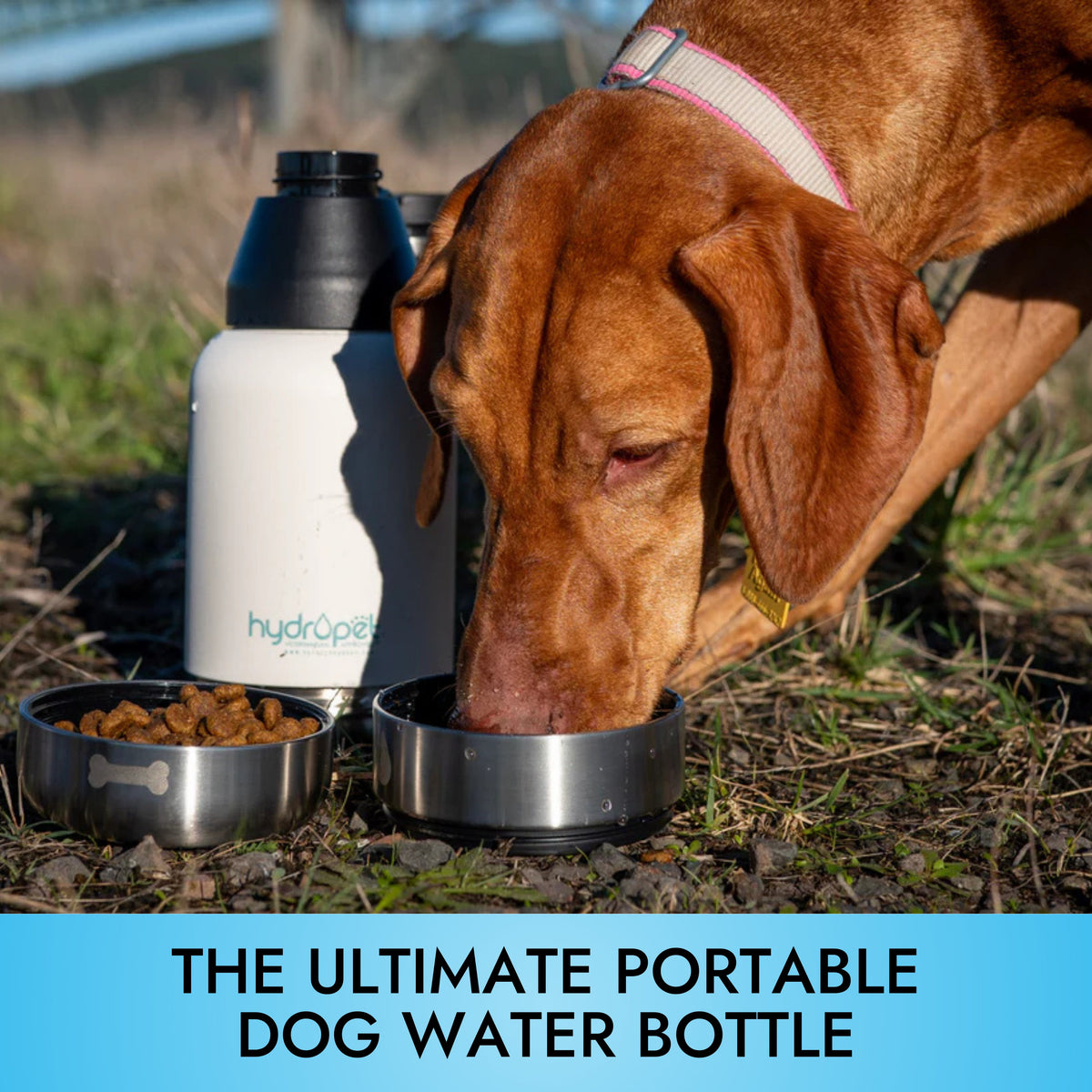 HydroPet® 64 oz Portable Dog Water Bottle – Stainless Steel Travel Flask with 2 Detachable Bowls, Carry Bag & Strap