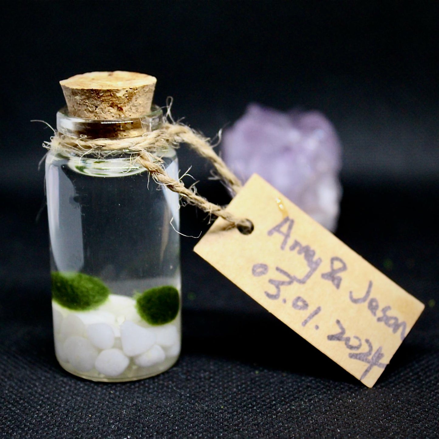 Hot Sale: Live Mini Marimo Moss Ball White and Black Pebbles Glass Bottle Glass Jar