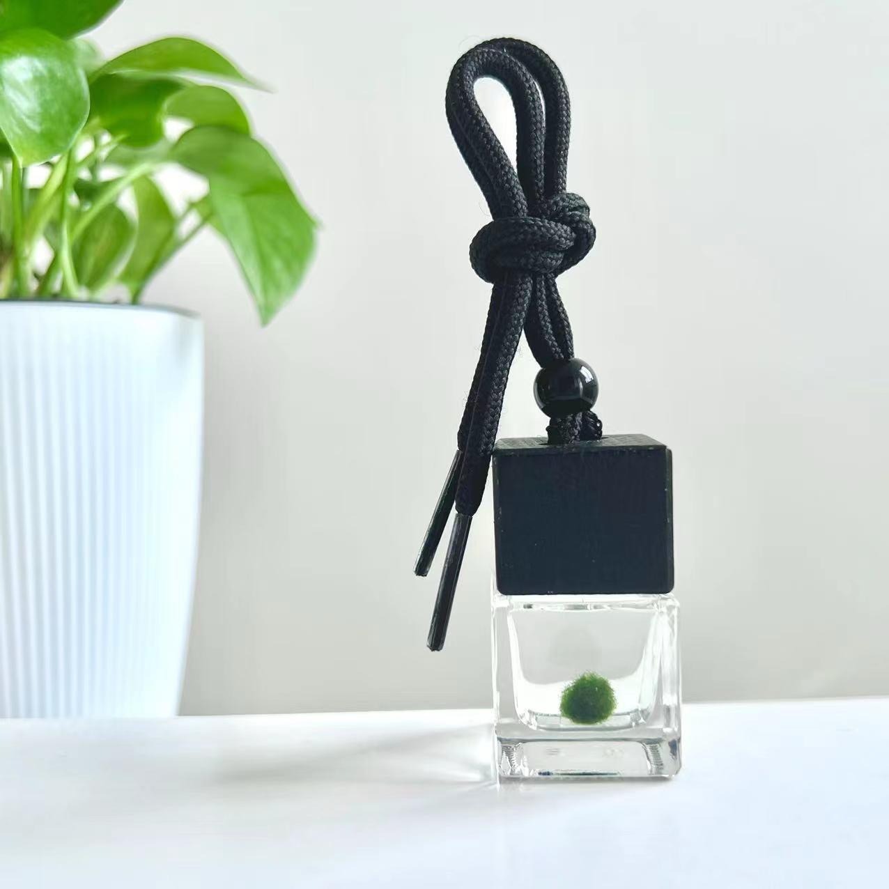 Mini Baby Marimo Moss Ball