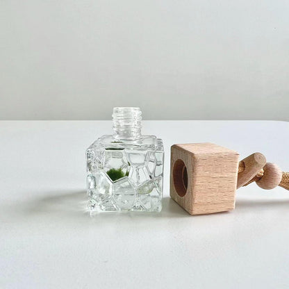 Mini Baby Marimo Moss Ball