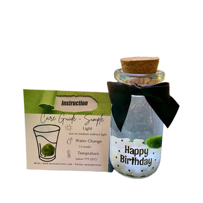 Happy Birthday party gift: Marimo moss ball kit ready to go full set for kids birthday party
