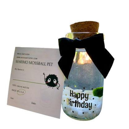 Happy Birthday party gift: Marimo moss ball kit ready to go full set for kids birthday party