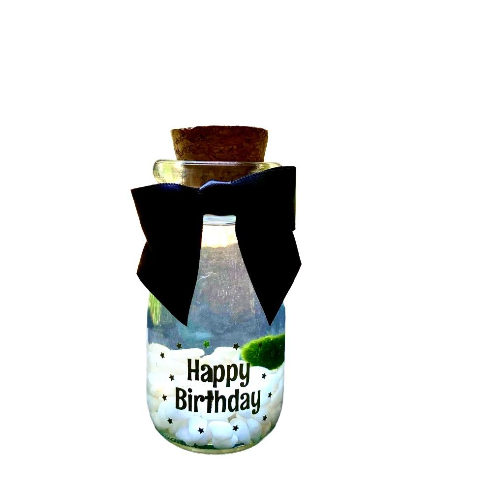 Happy Birthday gift: Marimo moss ball kit ready to go full set for plant lovers