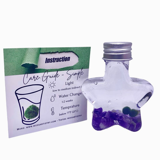 Marimo moss ball kit natural crystal 2PCS gift - Wish Star