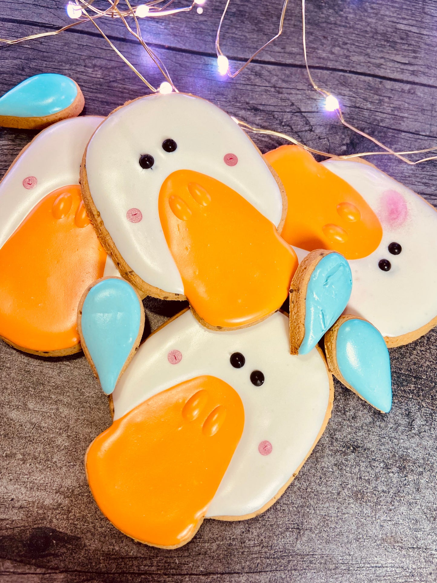 PUDDLE the DUCK™ Gift Set — Lookie-a-Tookie™ Duck Dog Treats