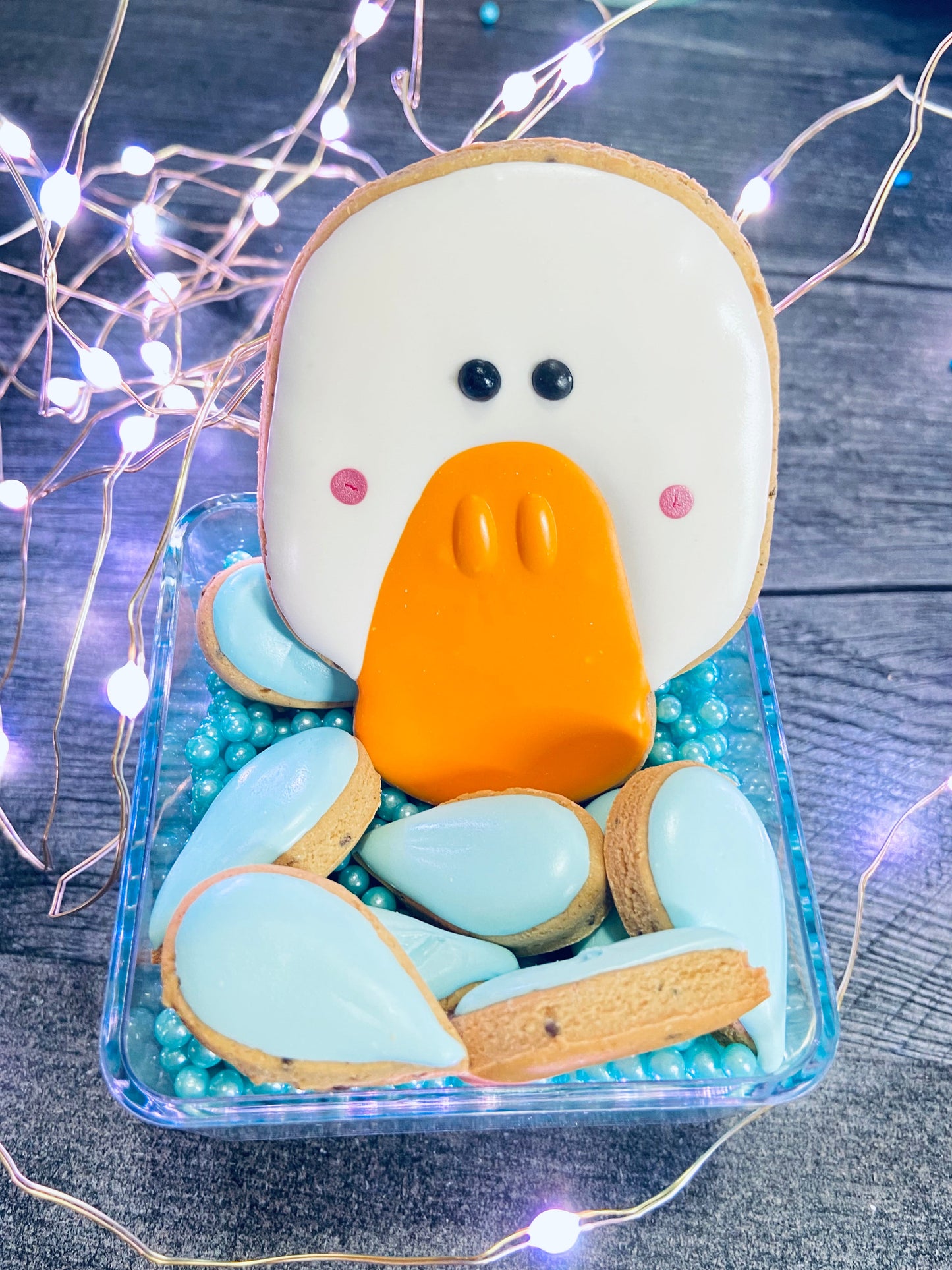 PUDDLE the DUCK™ Gift Set — Lookie-a-Tookie™ Duck Dog Treats