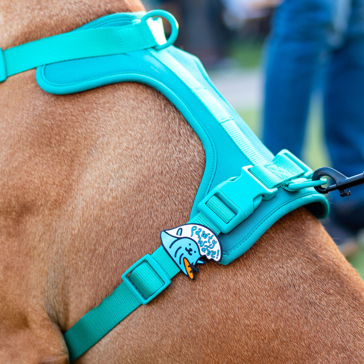 Pawty Wave Jiby Dog Charm