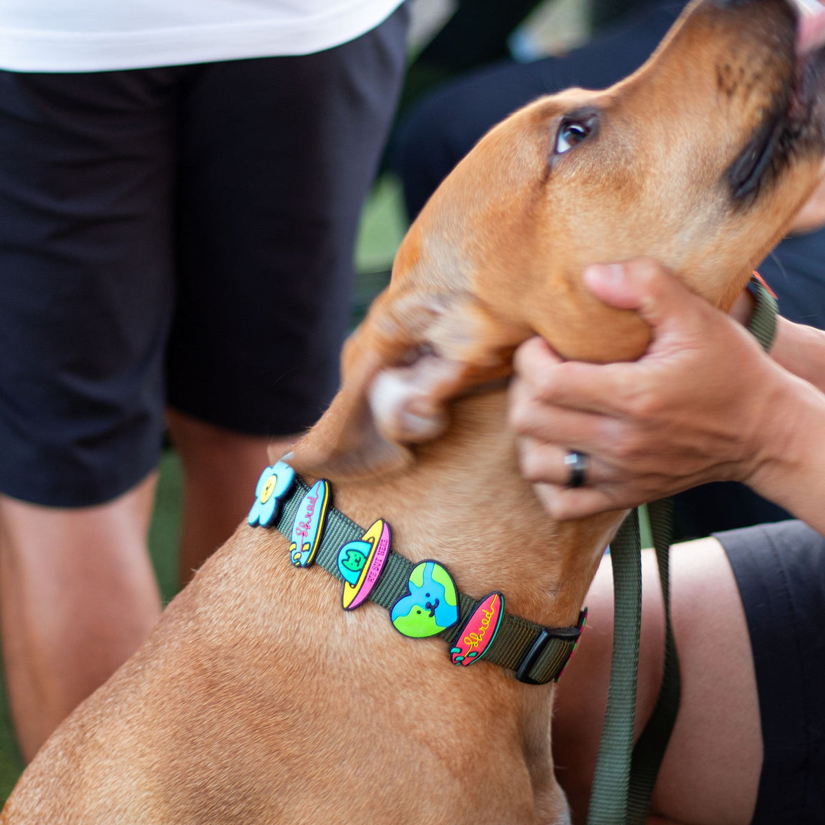 Earth Heart Jiby Dog Charm