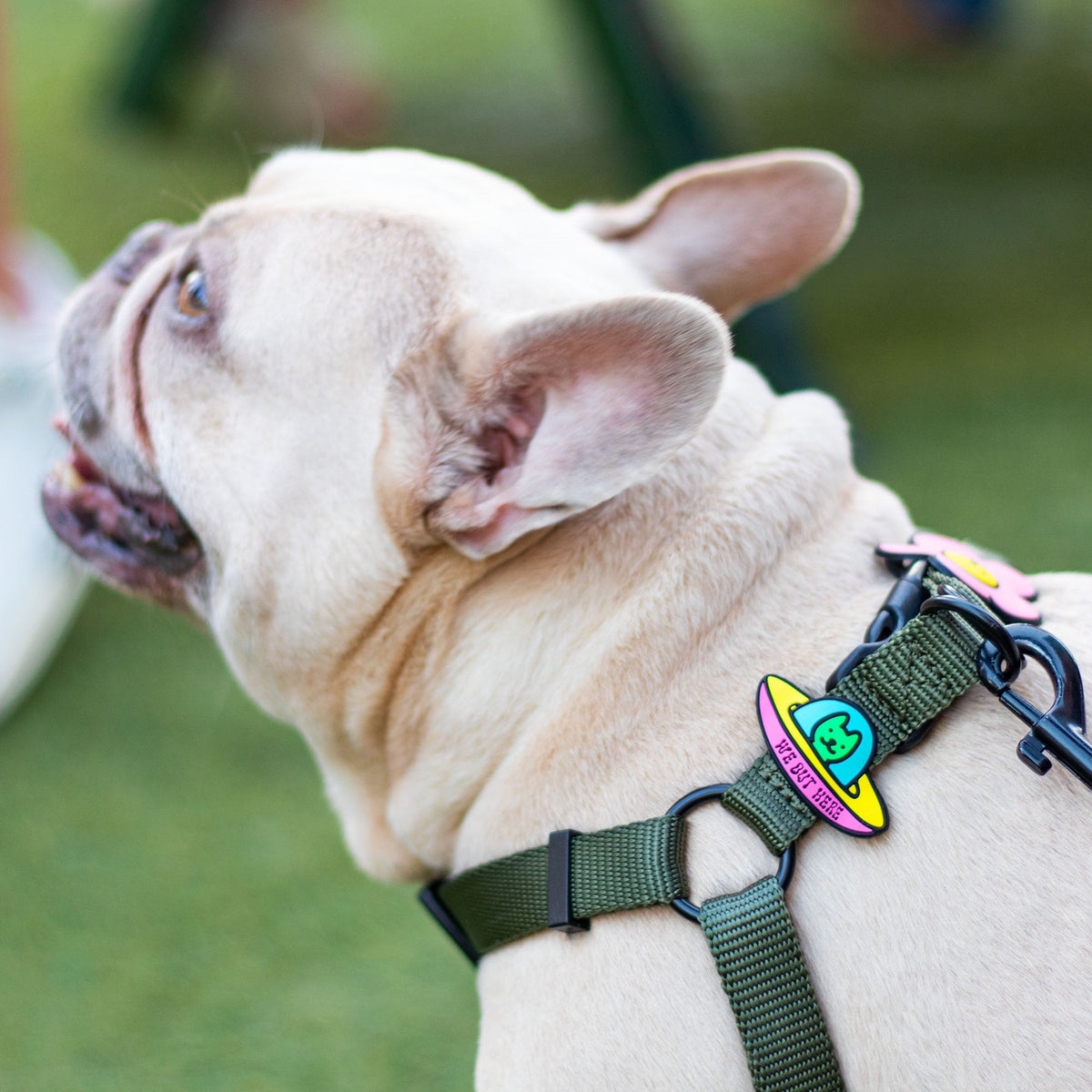 UFO Jiby Dog Charm