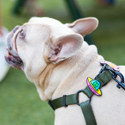 UFO Jiby Dog Charm