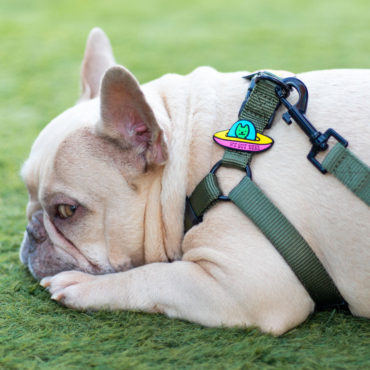 UFO Jiby Dog Charm
