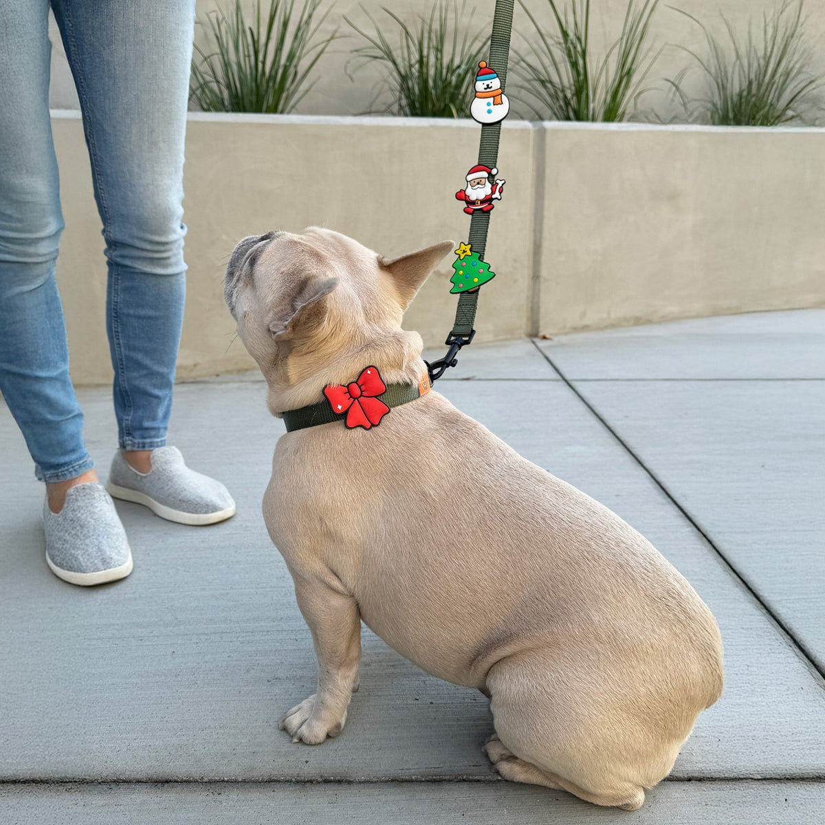 Santa Paws Jiby Dog Charm