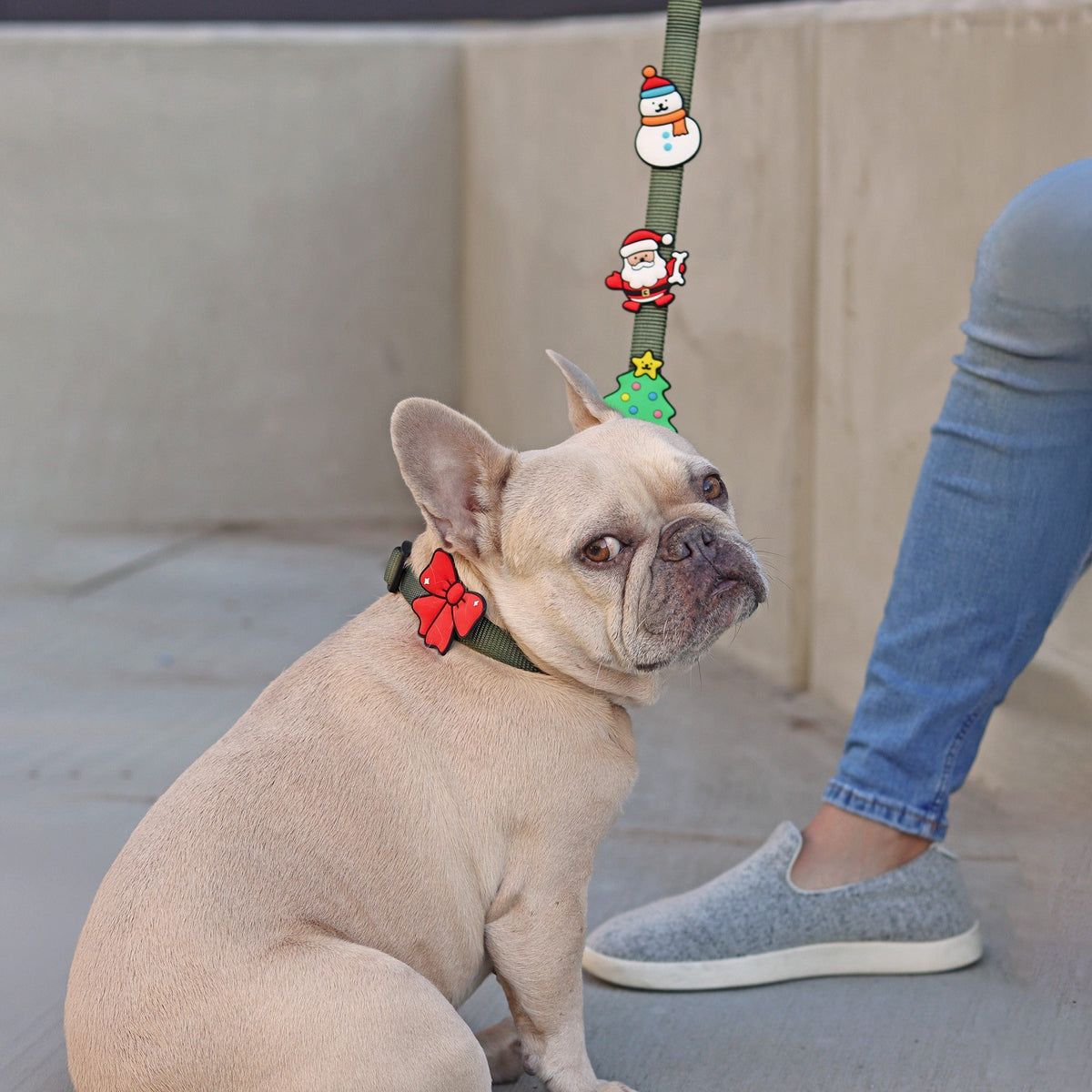 Santa Paws Jiby Dog Charm