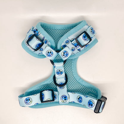 Tie Dye Smiley Harness