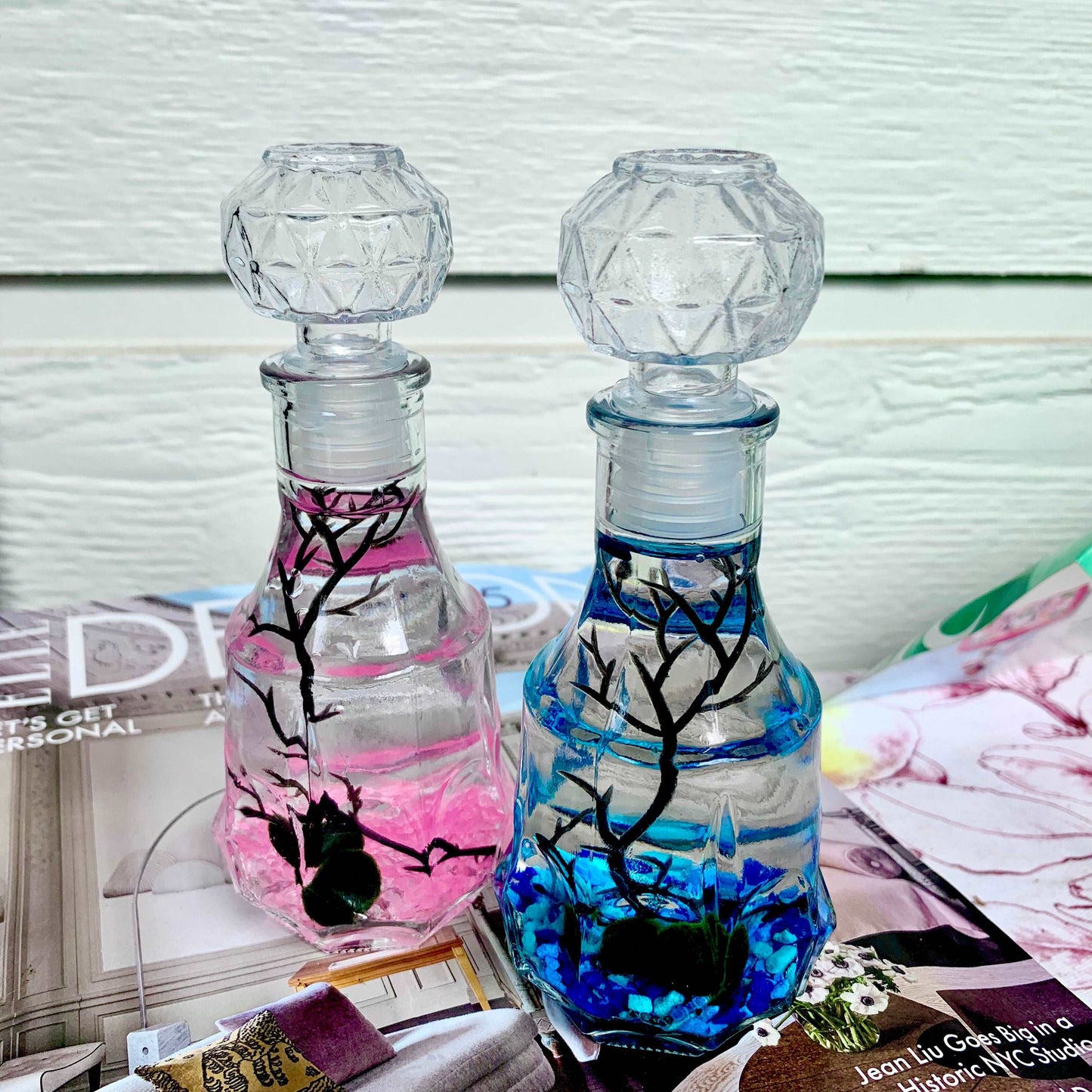 Romantic Marimo Moss Balls Glass Bottle Aquarium With Lid Love Plants for Beginners for Couples