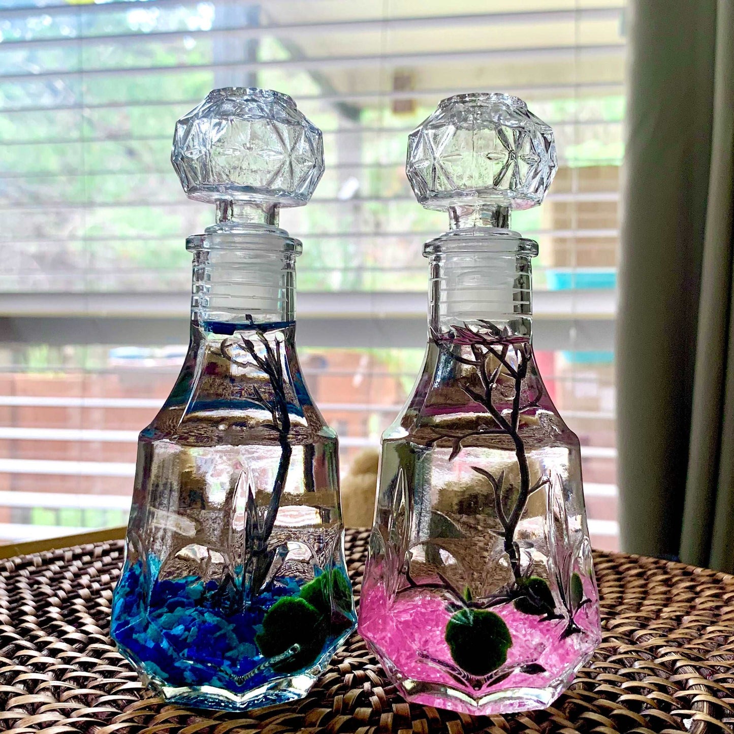 Valentine’s Day Romantic Marimo Moss Balls 2PCS Set Glass Bottle Aquarium With Lid Love Plants for Beginners for Couples