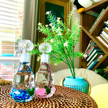 Valentine’s Day Romantic Marimo Moss Balls 2PCS Set Glass Bottle Aquarium With Lid Love Plants for Beginners for Couples