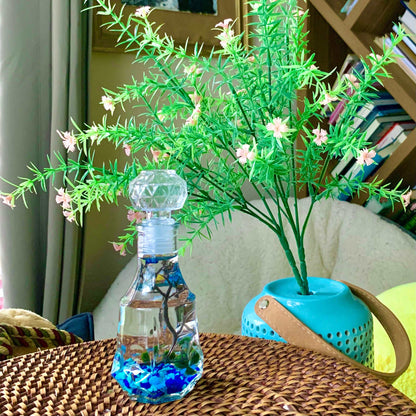 Moss Ball Aquarium Romantic Marimo Moss Balls Glass Bottle Aquarium With Lid Love Plants for Beginners for Couples Blue