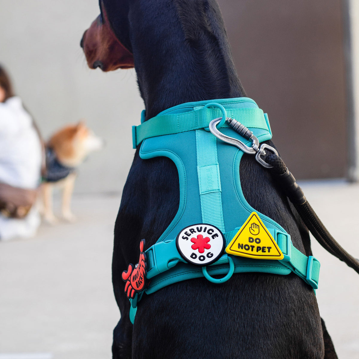 Service Dog Jiby Dog Charm