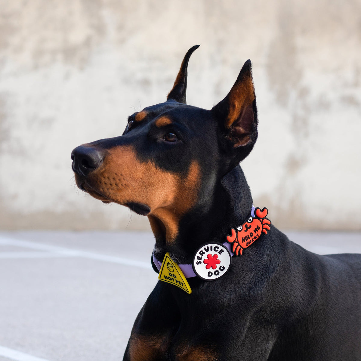 Service Dog Jiby Dog Charm