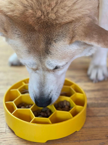Honeycomb eBowl Deep Slow Feeder Dog Bowl for Enrichment | USA Made