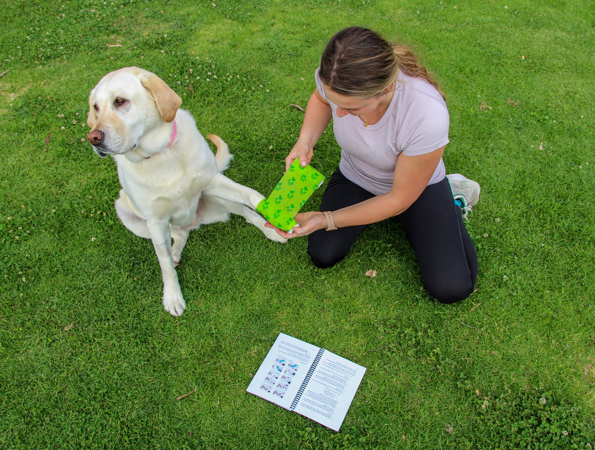 Pet First Aid Kit – Veterinarian-Curated Emergency Supplies & Guide