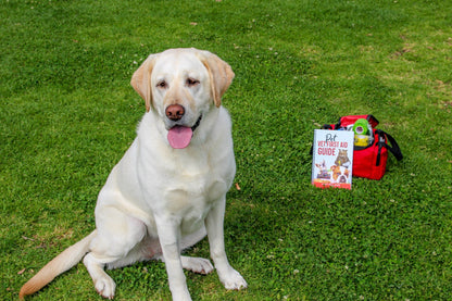 Pet First Aid Kit – Veterinarian-Curated Emergency Supplies & Guide